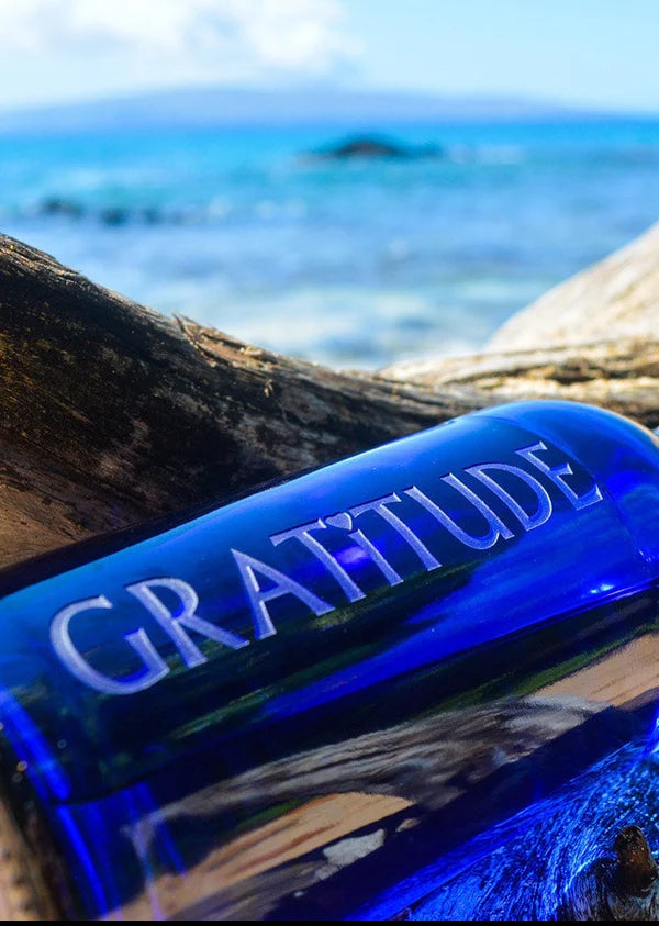 Blue Bottle Love Glass Water Bottle